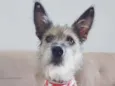 Fiona