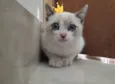 Felipe