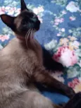 Yuuko