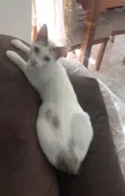 Valentina