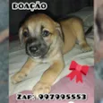 Indefinido 