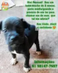 Sem nome