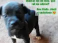 Sem nome