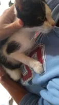 Sacha