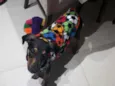 Tadeu