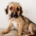 Magali
