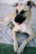 Princesa