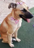 Princesa