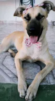 Princesa
