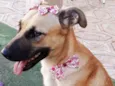 Princesa