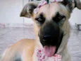 Princesa