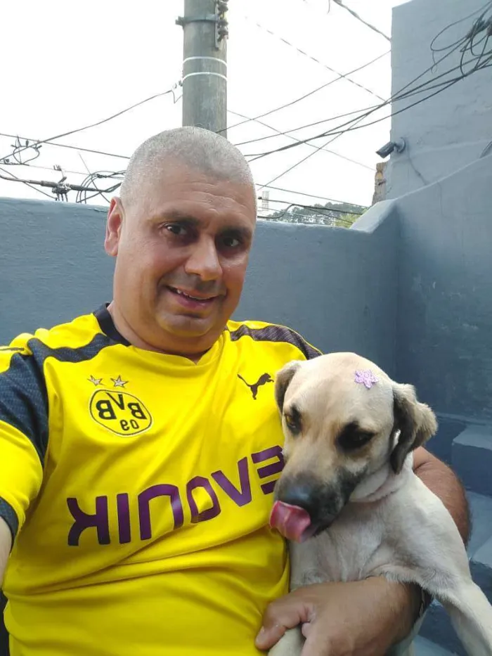 Cachorro ra a Viralata idade 2 anos nome Amora