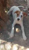 Charlie