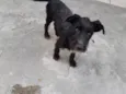 Bartho