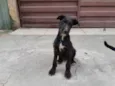 Bartho