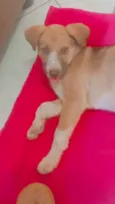 Mel
