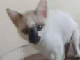 Titica