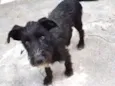 Bartho