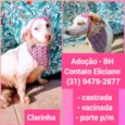CLARINHA
