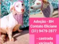 CLARINHA