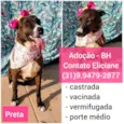 PRETINHA