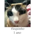 Floquinho (menina)