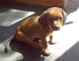 ????