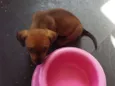 ????