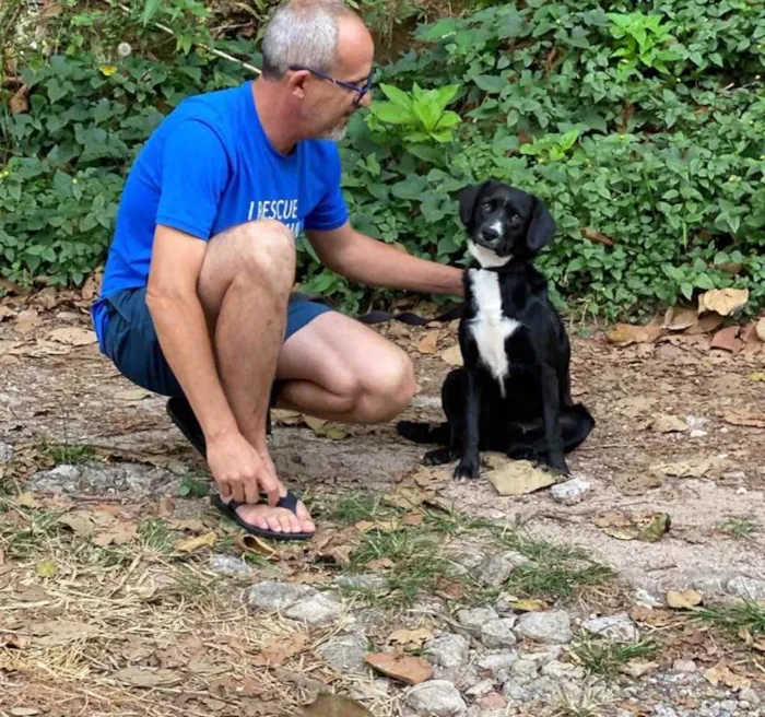 Cachorro ra a SRD idade 7 a 11 meses nome Pipoca