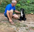 Pipoca