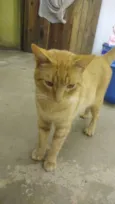 Thomas