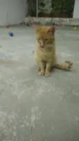Thomas