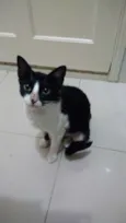 Winnie
