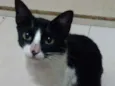 Winnie