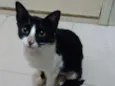 Winnie