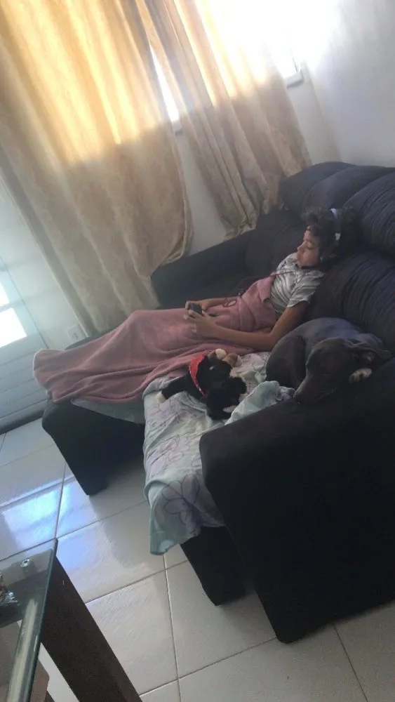 Cachorro ra a Não identificada idade  nome Jorge