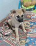 Penelope 