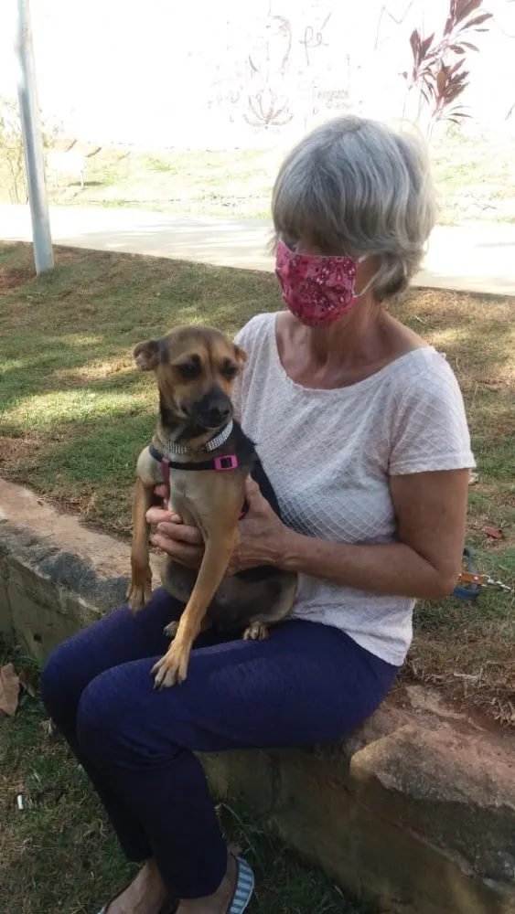 Cachorro ra a Srd idade 7 a 11 meses nome Chiquita
