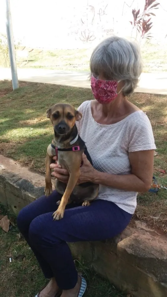 Cachorro ra a Srd idade 7 a 11 meses nome Chiquita