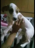 Não sei