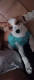 Não sei