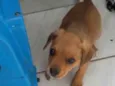Não sei 