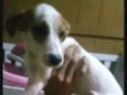 Não sei