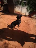 Marley