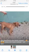 Não sei