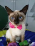 Nina
