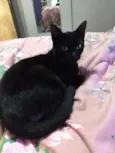 Zulu