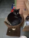 Zulu