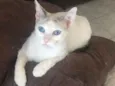 Valentina