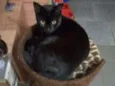 Zulu
